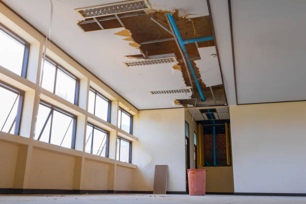 Best Fire Damage Restoration  in Manchester, OH
