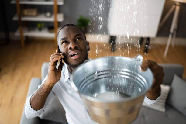 Best Flood restoration services  in Manchester, OH