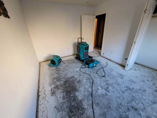 Best Ceiling water damage repair  in Manchester, OH