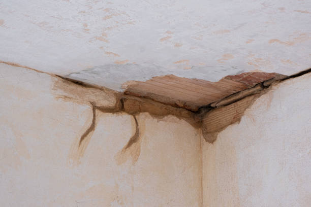 Best Professional water damage repair  in Manchester, OH