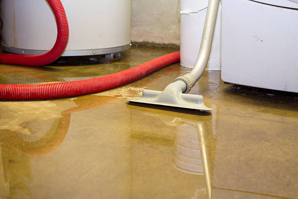 Best Flooded house restoration  in Manchester, OH