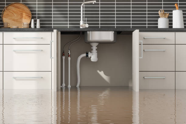 Best Water damage restoration near me  in Manchester, OH
